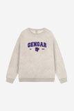 Custom Pocket Monsters College Embroidery Sweatshirt